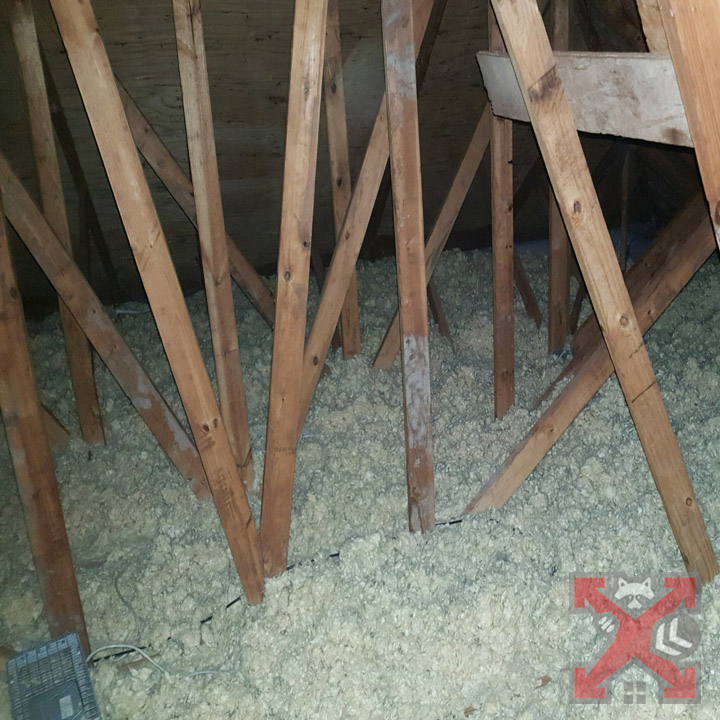 Carlsbad Attic with Insulation
