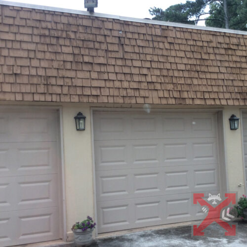 Carlsbad Wildlife Removal Commercial Store Front