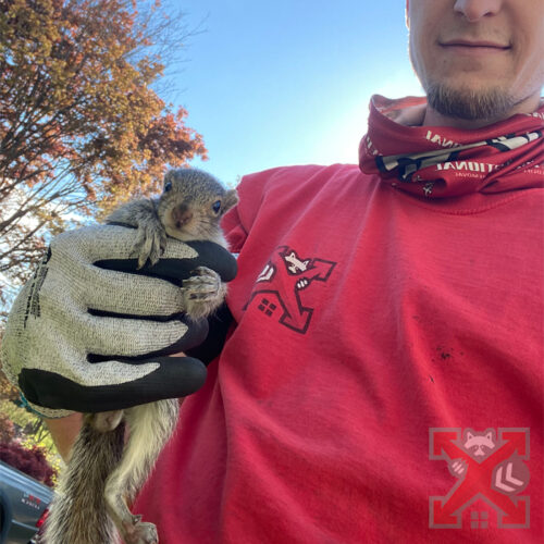 Technician Holding a Squirrel in Carlsbad