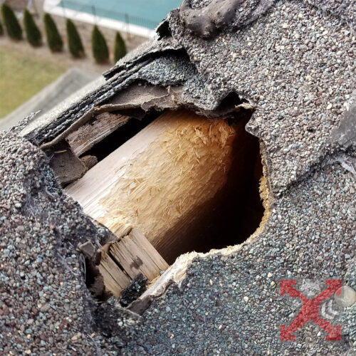 Visible Roof Damage from Wildlife